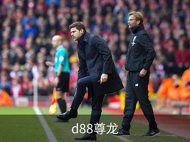 d88尊龙,d88尊龙官网,d88尊龙中国
